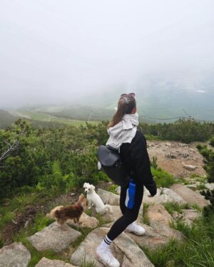 Dominika Richterová Instagram - #trip #hightatras #vysoketatry #mydogs #animal #tourist