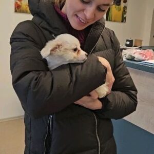 Dominika Richterová Instagram - Kamoši! Predstavujem Vám môj nový prírastok.🌸 Winnie🌸 Ktorú sme našli v úžasom útulku @utuloktulacik . Meno jej dali už v útulku a mne sa taaak veľmi páčilo,  ze jej nakoniec ostane:)) Veď nakoniec nesie meno posatvy, ktorú som v divadle tak rada hrala;) Teším sa,že sme aspoň takto vedeli pomôcť:) Ak nemáte možnosť si psíka adoptovať je veľa možností ako útulku pomôcť...môžete darovať 2% z daní, poslať jednorazový dar alebo ísť mojkáčov vyvenčiť. Každá maličkosť sa počíta;) #winnie #welcome #puppy #puppylove #mydog #tulacik #tulacikbrezno