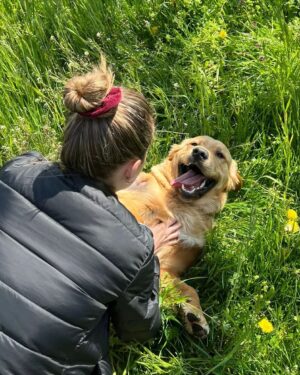 Dominika Richterová Instagram - Láska #doghugs #hug #uzjevelkac #zacinaposluchat #goldenretriever #retriever #retrieveroftheday #puppy #puppylove #retrieveroftheday #goldenretrieverpuppy