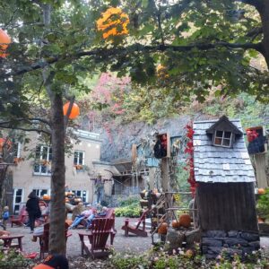 Dominique Swain Instagram - Quebec in the Fall, now it's back to Montreal! Had some honeysuckle blackberry sorbet with my honey and took in Chateau Frontenac over the St. Lawrence River. And someone caught a unicorn.