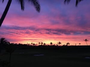 Don Cheadle Instagram - bye-ee, hawaii ...