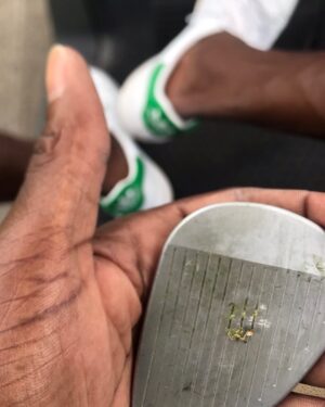 Don Cheadle Instagram - 60degree to 2 feet. made the putt #bucketgoals #westchester #deathchester #lynnralston