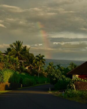 Don Cheadle Instagram - why are there so many songs about rainbows?