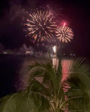 Don Diamont Instagram - Happy New Year from Honolulu🌺🌊🎉🥳‼️ Wishing everyone a happy, HEALTHY , and prosperous 2024!!!❤️