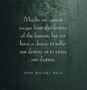 Don Miguel Ruiz Instagram - The choice is yours. ✨