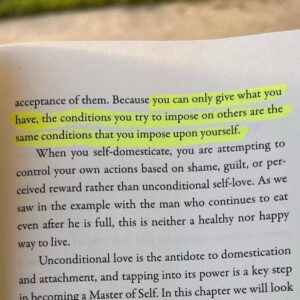 Don Miguel Ruiz Instagram - The conditions you try to impose on others are the same conditions that you impose upon yourself. ✨