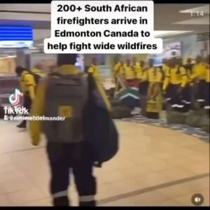 Dondré Whitfield Instagram - I love my people. Black people have been doing this throughout history.  Black people have been serving humanity since the beginning of time.  Ironically, Black people have been the target of inhumane treatment all over the world, despite being the earth’s caretaker! 

I am proud of being cut from this cloth…I am proud to be a Black man!!!!✊🏽👑