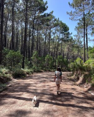 Duarte Gomes Instagram - Life lately. 🪃