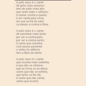 Dulce Pontes Instagram - #dulcepontesoficial