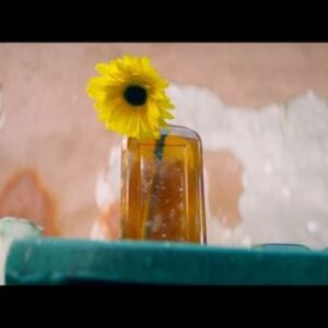 Dulé Hill Instagram - as a filmmaker, crafting a project’s visual framework is one of my favorite parts of the process. THE EXPRESS WAY is a celebration of the power of art. so it was important to elevate the artists’ craft beyond just capturing it. so i wrote what i called “special performances” that would encapsulate the story’s essence while simultaneously advancing the narrarive. for @amythystkiah, the special was for “wild turkey”, a haunting song about her mother’s suicide by alcohol. the idea was that amythyst goes to numb her pain in a bar that feels moody and underwater, symbolizing both sadness and alcohol. as she cathartically sings her song while moving through the bar, she processes her mother’s death. and by the end, she escapes the bar, foreshadowing escaping her own alcohol demise later in the story. the daisies also serving as a warning of death by alcohol. we also recorded all of the artists live as field recordings - no lip syncing or backing track - to ground these performances in the storytelling. so this rendition is unique from the master, just guitar and her powerful vocals. big love to amythyst for showing up on her first shoot day, trusting the process, and singing the song at least 2 dozen times. and her voice never cracked 🎤🎸