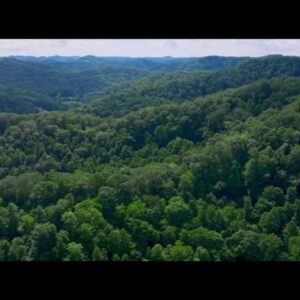 Dulé Hill Instagram - tonight THE EXPRESS WAY explores the appalachian way. a rural american region decimated by poverty and addiction. out of these mystical mountains rises 3 diverse artists providing tangible healing through music: a black folk musician @amythystkiah; a master luthier rehabilitating people in substance use recovery through making stringed instruments @troublesomecreekguitars; and a latingrass duo mashing up traditional bluegrass and latin folk music to ignite social change @larryandjoe. can’t thank them enough for existing and shattering everything i previously knew of appalachia #ExpressWayPBS on at 9p PT/ET and anytime on the app 🎸🪕⛰️