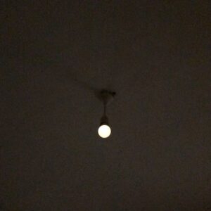 Durukan Çelikkaya Instagram - Tuin der Lusten