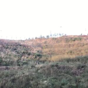 Durukan Çelikkaya Instagram - Tuin der Lusten