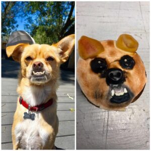 Dustin Milligan Instagram - pupcakes
.
.
.

thanks to these Schittheads: http://Facebook.com/groups/schittscreekfans/
