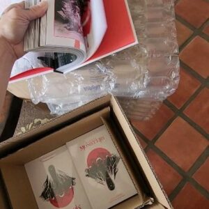 Dustin Nguyen Instagram - AWW YEAH IT'S HERE 
DELUXE EDITION
#littlemonsterscomic #imagecomics 
@jefflemire 
@steve_wands 
@quarkstocomics 
@frogsindenim 
@pinkpoprx 
@imagecomics