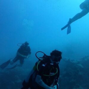 Dylan Riley Snyder Instagram - Christmas Day dive 2021