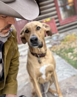 Eddie Cibrian Instagram - This Girl #nationalpuppyday