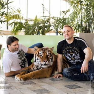 Edgard Zapashnyy Instagram - Братья 🐯
Brothers 🐅

#запашные#сделановссср #россия#zapashnybrotherscircus #mytiger #рикки#madeinrussia #greatmoscowcircus #семья #чезалевэтоттигр
Фото: Катрин Литвиненко