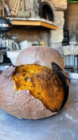 Eduardo Garcia Instagram - Pumpkin pie recipe headed your way 
@montanamex 

@amaltheiadairy thank you for growing these gorgeous squash!