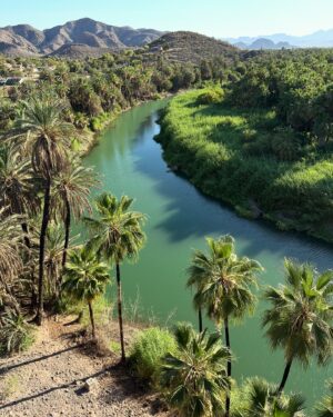Eduardo Videgaray Instagram - Nuestra siguiente parada después de Loreto fue la playa de El Requesón y Bahía Concepcion. Las primeras 3 slides son de esa zona. De ahí nos seguimos a Mulegé y pasamos a ver la espectacular vista desde el mirador de la misión. Quiero darme besos de patita levantada por todo el mundo contigo @eduardovidegaray 🥰!

1. Beso en El Requesón (sin albur)
2. Video desde la playa
3. La playa vista desde la carretera
4. Nunca son suficientes besos 
5. La misión Santa Rosalía de Muelegé
6. La vista desde el mirador
7. La cima es más solitaria pero siempre hay mejor vista😎