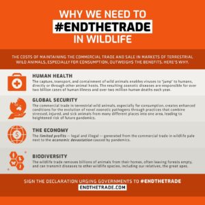 Edward Norton Instagram - This Earth Day it seems especially important to acknowledge that global failure to respect & care for biodiversity & the heedless destruction of the complex ecosystems of our planet has direct links to our current pandemic crisis. Here’s something we can unite around today.