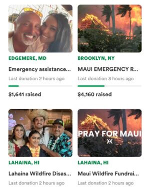 Edward Norton Instagram - We have lots of friends on Maui and have surfed along the SW shore and relaxed in Lahaina many times. Absolutely crushed to see such a wonderful community devastated. This is an excellent hub of verified fundraisers for various needs for those who can support.  Thanks for anything you can do.  Love & solidarity to Lahaina and Maui. Link in bio
