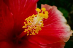 Eita Nagayama Instagram - 写真

grblog.jp

@ricoh_gr_official 
@tta_keikaku 

#grsnaps 
#gr3
#33

#GRist
#grblog 

#写真