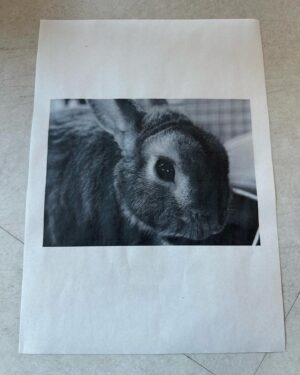 Eita Nagayama Instagram - 家族

動物は
死を考えない。
死を考えるのは
人間だけ。
と、今日、夢の中で
誰かが言ってた。
生きてます。

#33