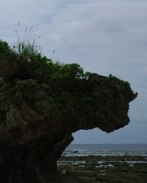 Eita Nagayama Instagram - 映画

「宝島」
オン。
永山瑛太。