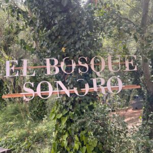 El Kanka Instagram - Inauguramos temporada de festivales por todo lo alto en un Bosque Sonoro con ambiente intenso, pero íntimo, con un cartel súper bonito y en un paisaje que invita al gozo templado.

Casi nos fastidia la lluvia, pero pudimos salir y conectarnos. 

Atençao que empezamos gira con toda la banda hasta acabar el año y después nos ponemos a grabar!

📸 2 y 9: @javierrosalivephoto