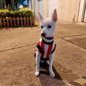 Eleazar Gómez Instagram - Wolf ❤️ !!!