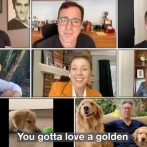 Elias Harger Instagram - Gotta support my fam! (Aren’t they cute? The dogs, I mean.) 😂🥰

#NationalDogWeek! Check out #GottaLoveAGolden and help Jeff Franklin @fullerhouseguy and the Full Dog-House support animal welfare #petsmartcharities Unleash the love! @petsmartcharities