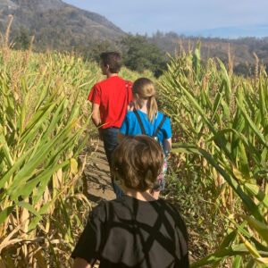 Elias Harger Instagram - For my 13th birthday, we had a weekend of normalcy - corn mazes, pumpkin patches and apple farms. (Yes, we wore masks and socially distanced when appropriate, but it was nice to forget about COVID for awhile.)
