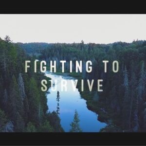 Elias Theodorou Instagram - I’m a Fighter, Man. 🌳🥊#TBT Reminiscing on my time in the bush with legend @reallesstroud and then putting in some work in the ring. #survivorman 
-
#lesstroud #fightingtosurvive #inthebush #greater #ontario
-
Videos will be linked in my stories.