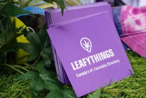 Elias Theodorou Instagram - Santa run on Sour Diesel… 🤙🎅🏻🙏🌿
-
and you can TOO this Canada day weekend with the team @leafythingscanada @electricislandto 🇨🇦 #canna #event #festival #legalized #goodtimes #letsdance #edm #fun