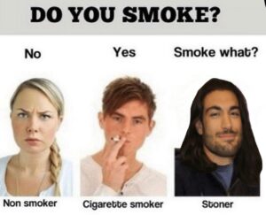 Elias Theodorou Instagram - Flashback to my PSA Days 🤷🏻‍♂️🍁 #FBF
-
-
-
#420 #PSa #forthewin #dope #over #ciggerettes #allday #flashbackfriday #420community #smokeweed #everyday #captain #kush #weed #stoner #questions #nonsmoker