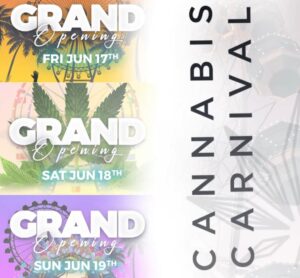Elias Theodorou Instagram - Ready for another week of innovation and fun ahead with @leafythingscanada 🏆🌿
-
Next stop, the grand opening of Canada’s largest cannabis consumption lounge: @cancarnival kicks of this weekend for a summer long canna experience 🎡🍭🔥