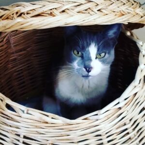 Elif İnci Instagram - Hoşçakal NİMET BEY...Beni seçtiğin için teşekkür ederim.Seni çok özleyeceğim yakışıklı oğlum...