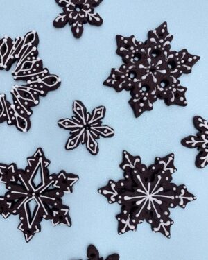 Elisa Strauss Instagram - Perfect post for #nationalcookieday 
JOIN ME tomorrow @3pm EST on @creativecake_design 
(Link in profile) and watch me make delicious SNOWFLAKE COOKIES and show you how you can too!!! RECIPE and DIRECTIONS included all for FREE.
