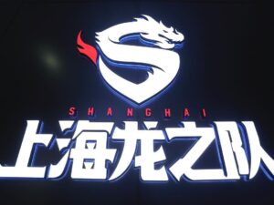 Elise Zhang Instagram - 😆Had a great time in Shanghai Dragon base!!! I’m pretty sure they are gonna play better in S2!!! Go SHD!!🔥🔥🔥
