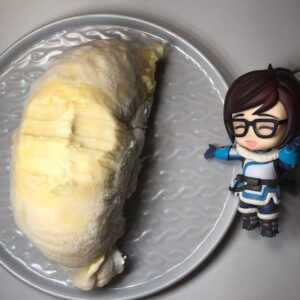 Elise Zhang Instagram - Thanks to her ultimate❄️❄️❄️, I can have my frozen durian now. 😍😍😍