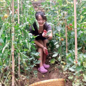 Elise Zhang Instagram - F.....FarMei? 🍅🥬🥒🍆🌶🌽🥦🥕