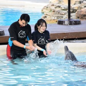 Elise Zhang Instagram - Dancing with Shuai Shuai the dolphin 🐬