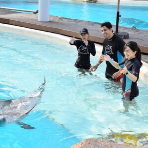 Elise Zhang Instagram - Dancing with Shuai Shuai the dolphin 🐬