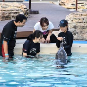 Elise Zhang Instagram - Dancing with Shuai Shuai the dolphin 🐬