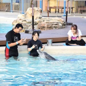 Elise Zhang Instagram - Dancing with Shuai Shuai the dolphin 🐬