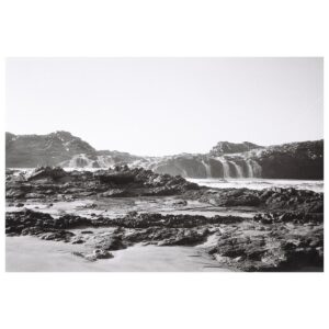 Eliška Křenková Instagram - •Mare• #analog