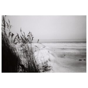 Eliška Křenková Instagram - The winter is coming…
#analog
