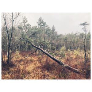 Eliška Křenková Instagram - Resting •