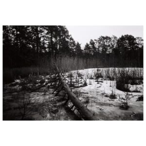 Eliška Křenková Instagram - #analog